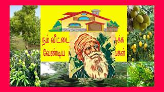 நம் வீட்டை சுற்றி இருக்க வேண்டிய பத்து வகையான மரங்கள் Ten types of trees must be around our house