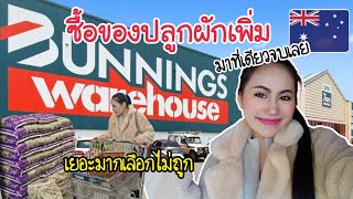 VLOG EP57 | พาช็อปที่ Bunnings Wearhouse เรื่องสวนเรื่องบ้านมาที่เดียวจบ อยู่ต่างแดนซื้อทุกอย่าง