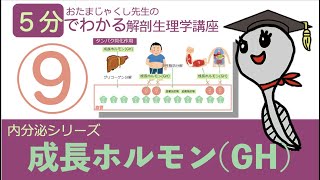 内分泌シリーズ第9回「成長ホルモン(GH)パート１」おたまじゃくし先生の解剖生理学講座/日本一わかりやすい授業を目指して/勉強法