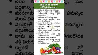 వీటిని ప్రతి రోజూ ఆహారంలో తినడం వల్ల కలిగే ఆరోగ్య ప్రయోజనాలు | Health Benefits In Telugu