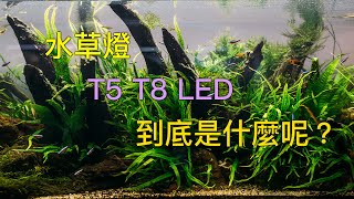 水族燈 水草缸的燈 怎麼選 T8 T5 led 各是什麼呢? 什麼是三波長燈管呢？/ fish tank