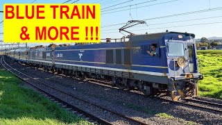 BLUE TRAIN, rare ex-ISCOR 34 loco GE U26C \u0026 MetroRail Trains