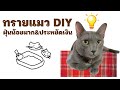 ทรายแมว DIY ฝุ่นน้อยมาก ประหยัดเงิน