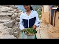 best life in the nepali mountain village during the rainy season how people live in with nature