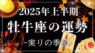 【2025年の運勢】上半期💫牡牛座のあなたに起こること💫怖いほど当たる😳🤍【恋愛/仕事/人間関係/金運/健康運/結婚】タロット占い\u0026オラクルカードリーディング🔮