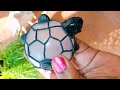 ഫ്യൂസ് ആയ ബൾബിൽ ഒരു കുഞ്ഞൻ ആമ diy tortoise old bulb reused ideas craftwithgreeshma