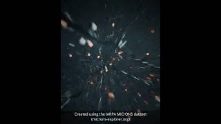 Exploring 3D Brain Cell Data in Unreal Engine (MICrONS Explorer)