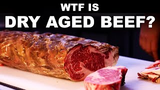 What is dry aged beef? Since when is drier meat good?