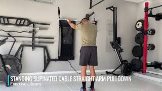 Standing Supinated Cable Straight Arm Pulldown