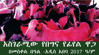 አስገራሚ የበግና የፊየል ዋጋ በመስቀል በዓል 2017 ዓ/ም አዲስ አበባ