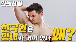 한국인만 유독 암내가 안나는 이유