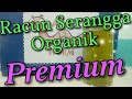 Cara Buat Racun Serangga Organik │ Organic Insecticide