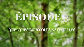 Navigation naturelle || Épisode 3 - S'orienter grâce à quelques boussoles naturelles