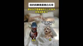 《非凡打工》第19～20集#猫meme #猫meme小剧场