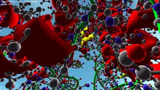 Visualizing a Nucleosome in Virtual Reality