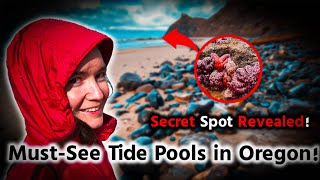 Where to See Tide Pools in Lincoln City, Oregon