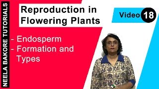 Reproduction in Flowering Plants | NEET | Endosperm - Formation and Types | Neela Bakore Tutorials