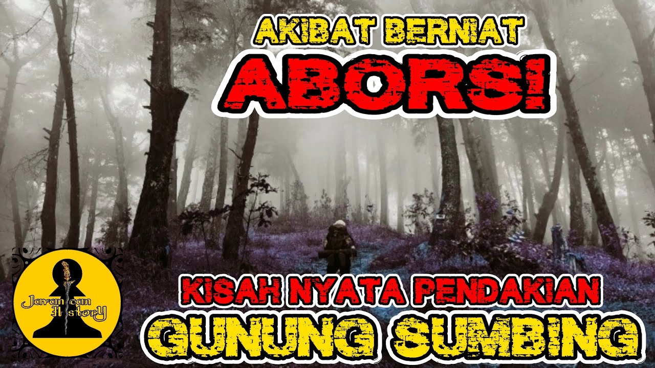 AKIBAT 4BORSI SAAT MENDAKI GUNUNG SUMBING || Cerita Mistis Pendakian ...