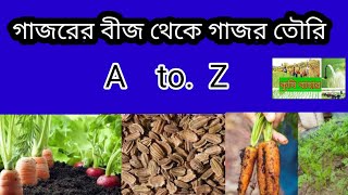 গাজরের বীজ রোপন || গাজর চাষ || গাজর || গাজরের বীজ বোপন পদ্ধতি ||gajor chas || gajor chas poddhoti