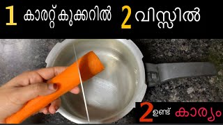 ഒരു കാരറ്റ് കുക്കറിൽ 2 വിസ്സിൽ 🥕😱രണ്ട് ഉണ്ട് കാര്യം!!