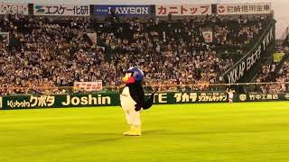 2018年5月24日 つば九郎 甲子園燕征 5回 空中くるりんぱの直後にトラッキーのキャップを奪って逃走①