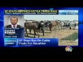 sc stays govt s notification on cattle slaughter