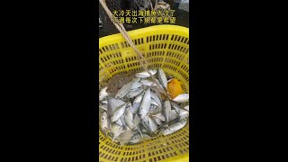 大冷天出海捕魚太冷了不過每次下網都是希望#赶河#赶海#抓鱼#捞虾#shorts