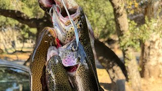 Trout fishing Irvine Regional Park