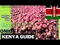 Onion farming in Kenya step by step guide