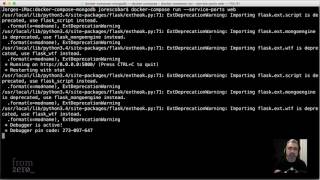 How to Use PDB with a Docker Container