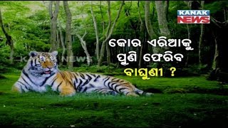 Tigress Sundari Shifted To Raiguda Enclosure