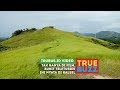 Bukit Teletubies Ternyata Ada di Indonesia