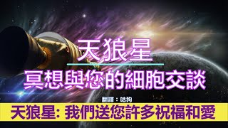 通靈信息【天狼星】冥想與您的細胞交談；這是一個很好的練習，我們還建議您、祝福您的生活、食物和水