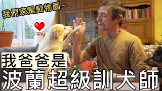 我爸爸是波蘭超級訓犬師！3隻狗4隻貓的家庭動物園？