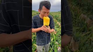 Very testy juicy pineapple #shots #pineapple #fruitcutting #satisfying #newvideo #fruitfarming