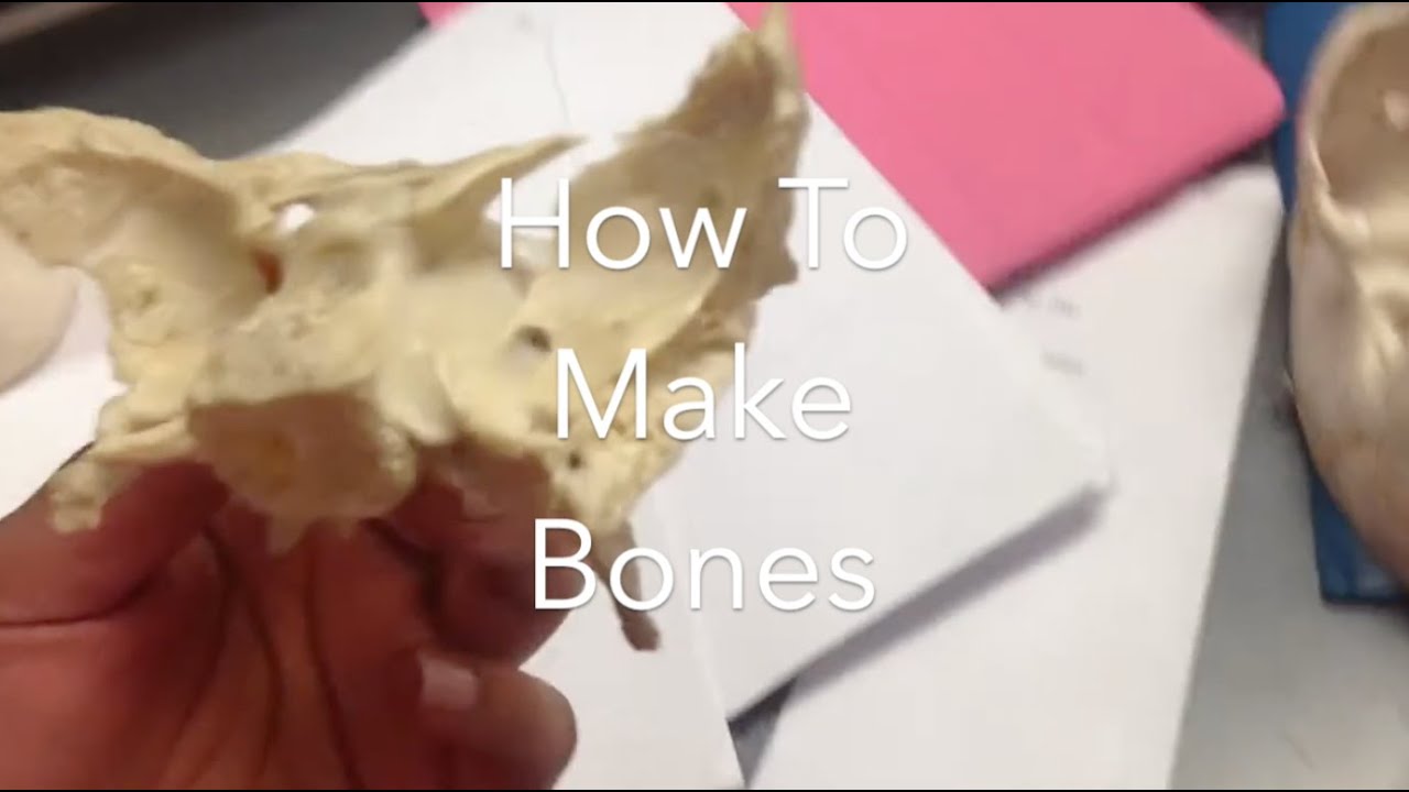 How To Make Bones Youtube