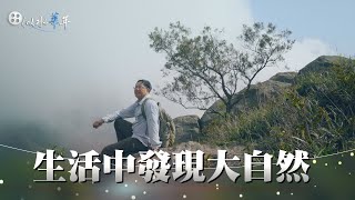 【似水華年】導讀 - 20210321 - 走往森林的路