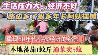 （广州/番禺）桥南高档住宅区楼下就系摆摊卖菜一条街！越来越多年长阿姨摆摊卖菜！蕃茄只卖1蚊一斤！（2040409）