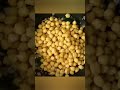 kabul kadale usli kabul chana stir fry healthy and quick chickpeas snack recipe arunasrecipes