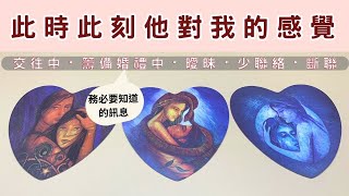 此時此刻他對我的感覺💘💘心裡是什麼身份🌟（朋友・戀人・親友）💑👩‍❤️‍👩👩‍❤️‍👨❣️CC字幕❣️   #羊羊塔羅 #羊羊塔羅密語  #大眾占卜 #塔羅占卜