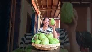 ផ្លែត្របែកស្រួយឆ្ងាញ់ #guava #video #short #reels #review #like #nature #fruits