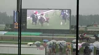 2014.07.26札幌競馬場