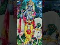 জয় শ্রী কৃষ্ণ sreekrishna viralvideo udasdupurbelasokhidekhtetomaymonchaise