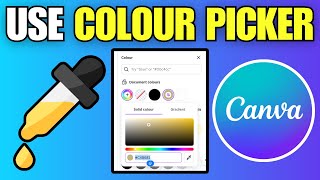 How To Use Color Picker in Canva (Eye Dropper Tool)