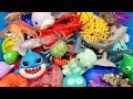 Learn Sea Animal Names and Facts I Sea Animals For Kids I Ocean Creatures