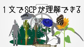 たった1文で理解できるSCP講座 #27【SCP解説 SCP-997, SCP-1128etc.】