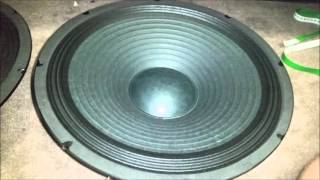 Scammed! Sent SKYTEC woofers!?!