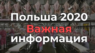 Работа в Польше на Мясокомбинате - завод возле Катовиц