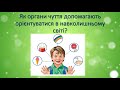 Урок 72. Органи чуття людини їх значення. ЯДС 3 клас за підручником І.Жаркової