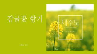 에단킴 Ethan KIM - Scent of Mandarin 감귤꽃향기-Official Audio